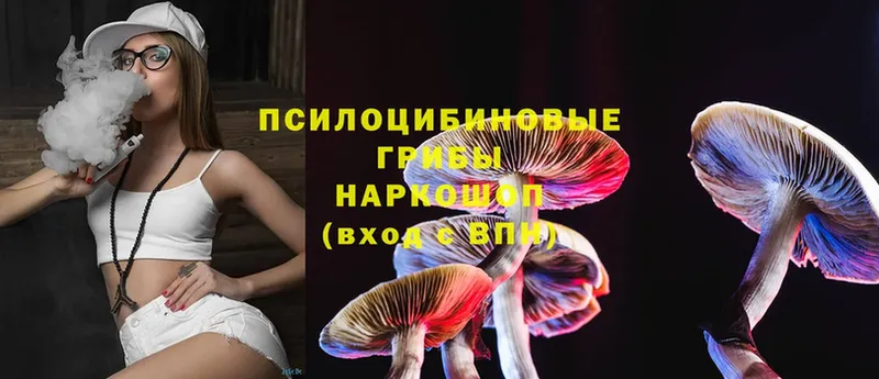 blacksprut маркетплейс  Емва  Галлюциногенные грибы Magic Shrooms 